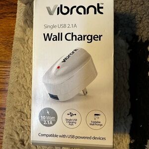 Vibrant Gray USB Wall Charger 2.1A